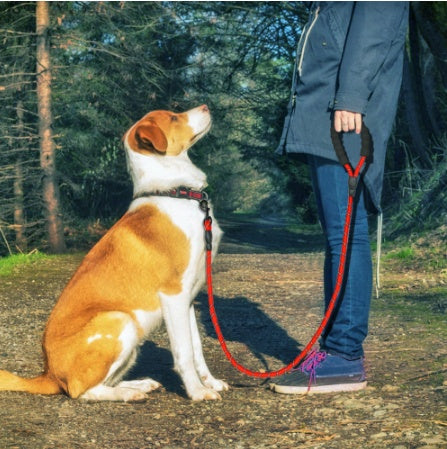 Reflective Dog Leash Nylon Leash Rope for Small Medium Large Dogs Walking Training